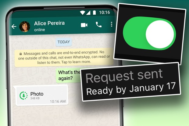 WhatsApp screen showing a request sent and ready by a specific date.