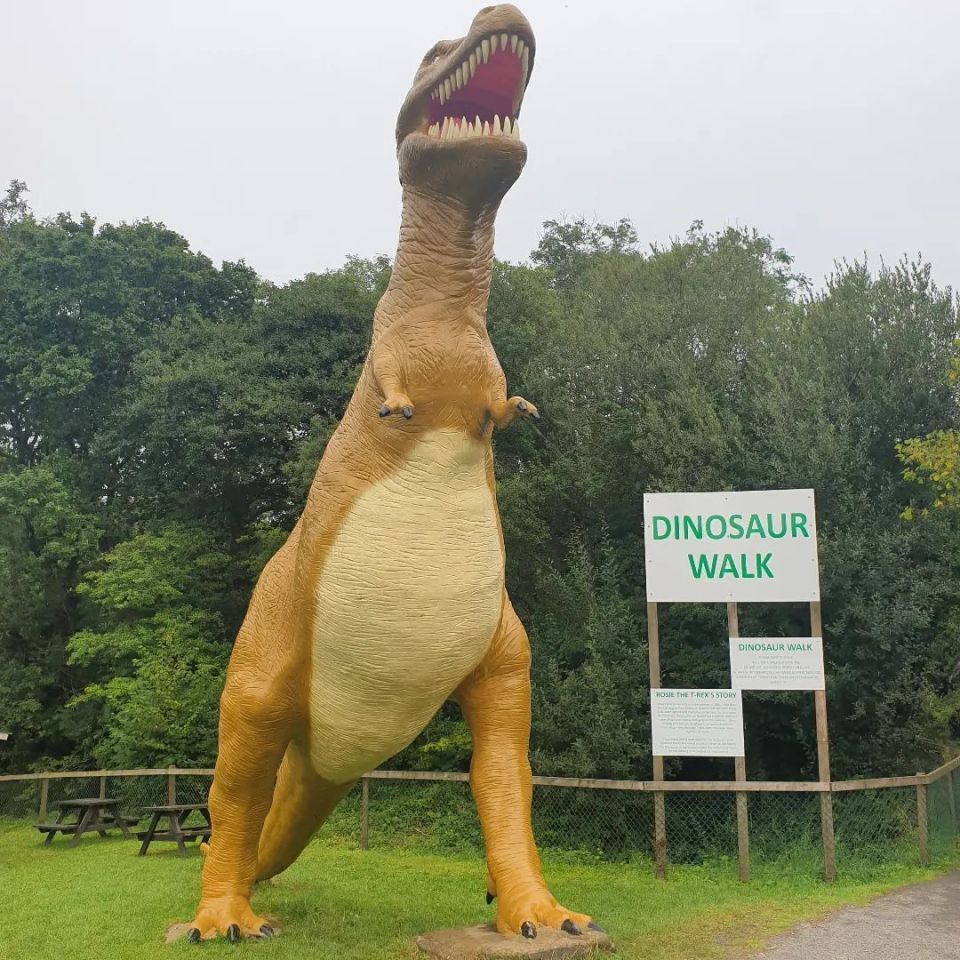 Large T. rex statue at a dinosaur park.