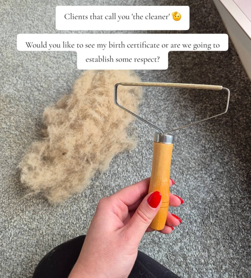 A hand holding a lint roller with a pile of pet hair on the floor; text overlays read, "Clients that call you 'the cleaner'" and "Would you like to see my birth certificate or are we going to establish some respect?"