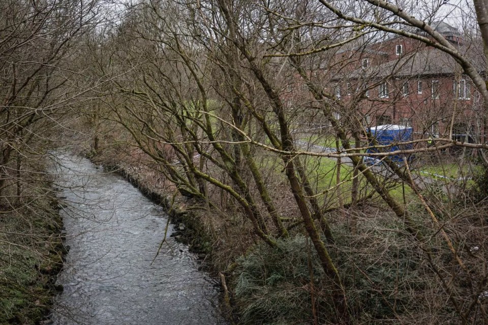 Riverbank crime scene with a building in the background.