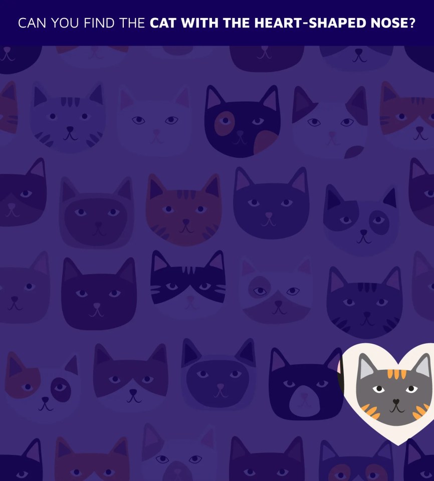 Illustration of a puzzle: find the cat with a heart-shaped nose among many other cats.