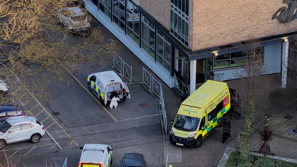 Aerial view of police and ambulance vehicles outside a school building.