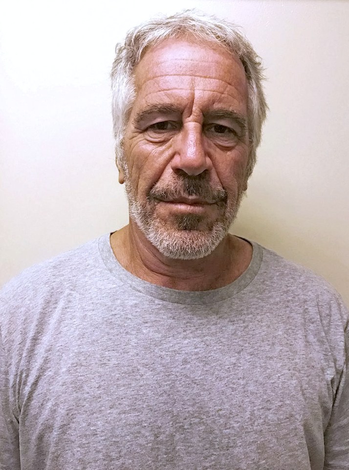 Mugshot of Jeffrey Epstein.