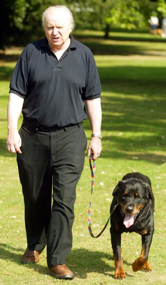 A man walks his Rottweiler dog in a park.