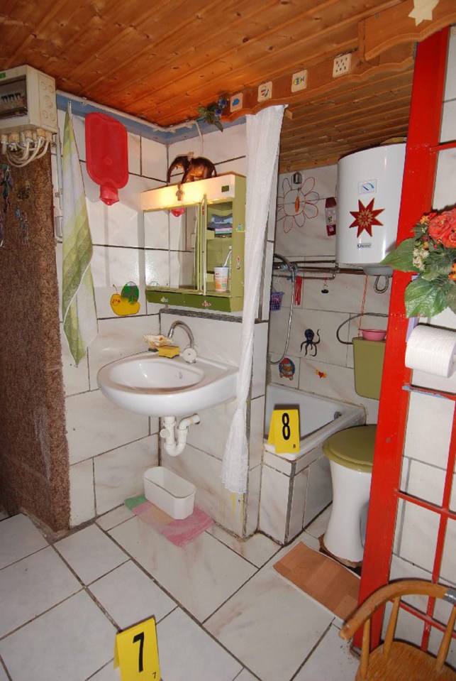 Photo of a small, child-like bathroom in a house used in a criminal investigation.