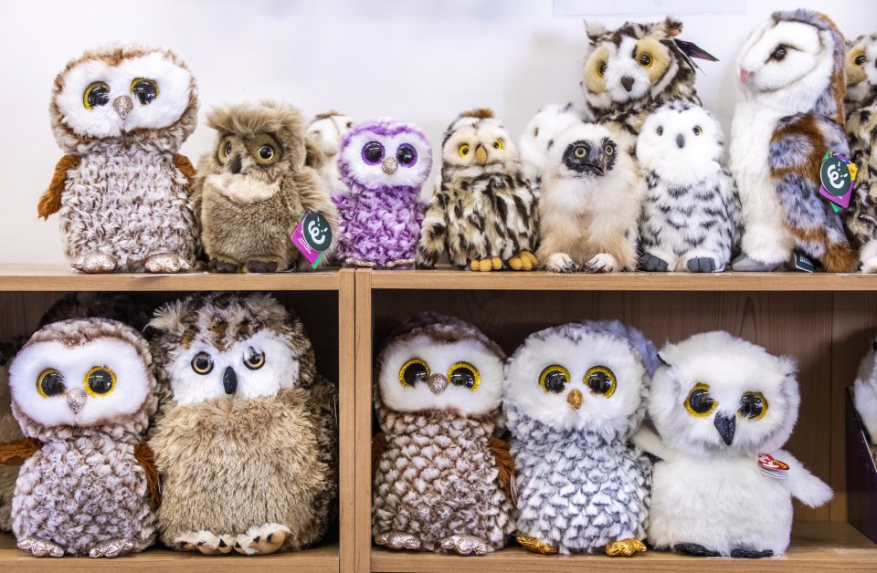 A shelf displays a collection of owl plushies.