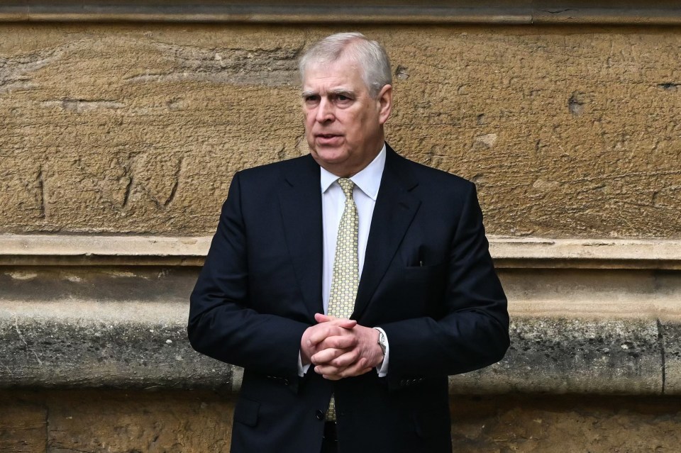 Prince Andrew, Duke of York, standing against a stone wall.