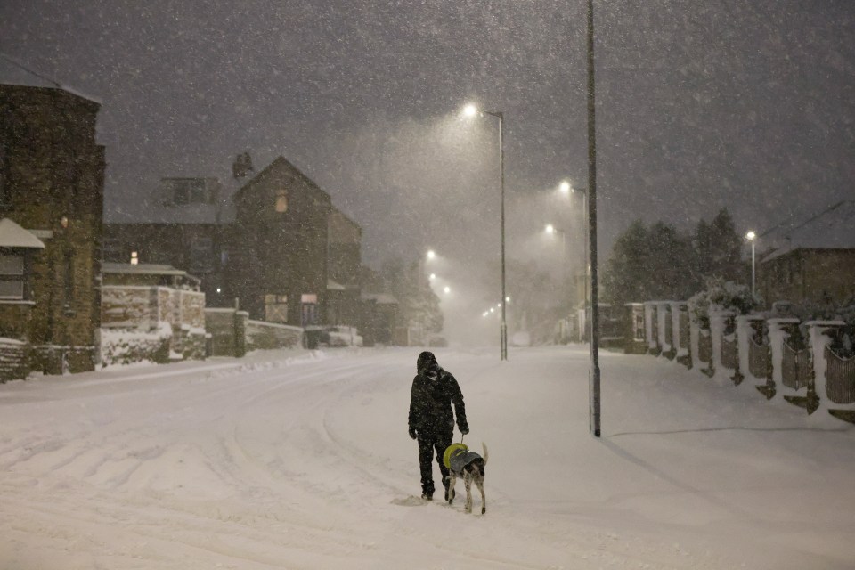 Person walking a dog on a snow-covered street at night.