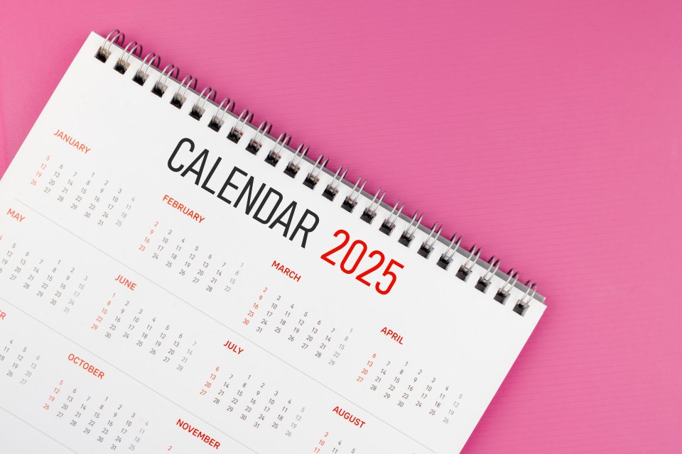 2025 desk calendar on pink background.