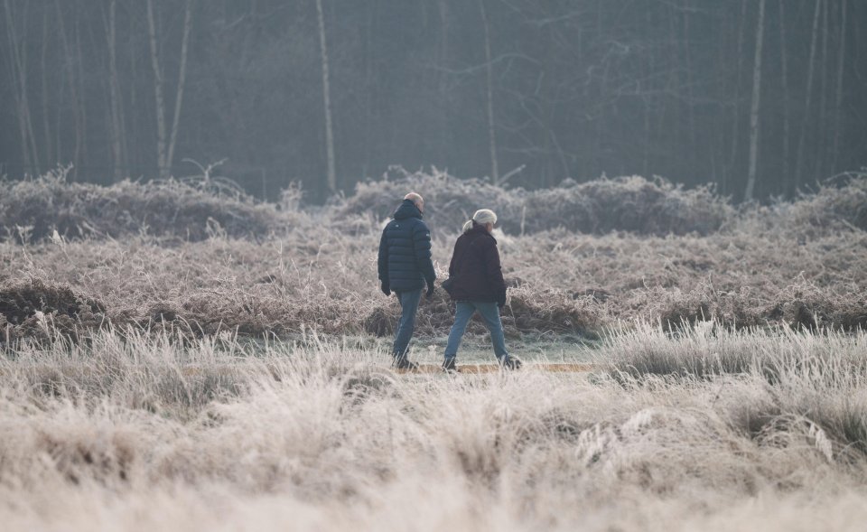 Couple walking in a frosty field.