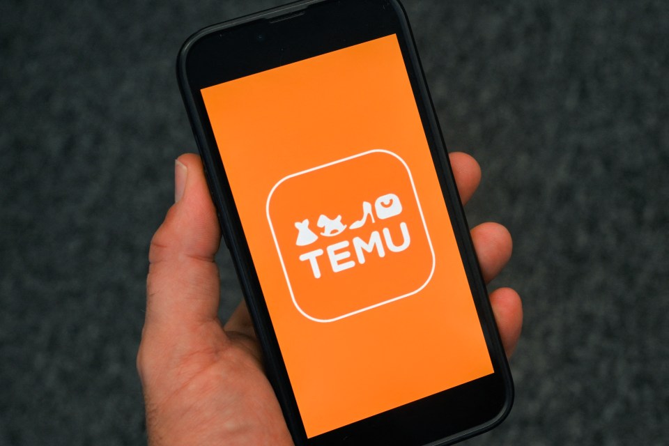 Smartphone displaying the Temu app.