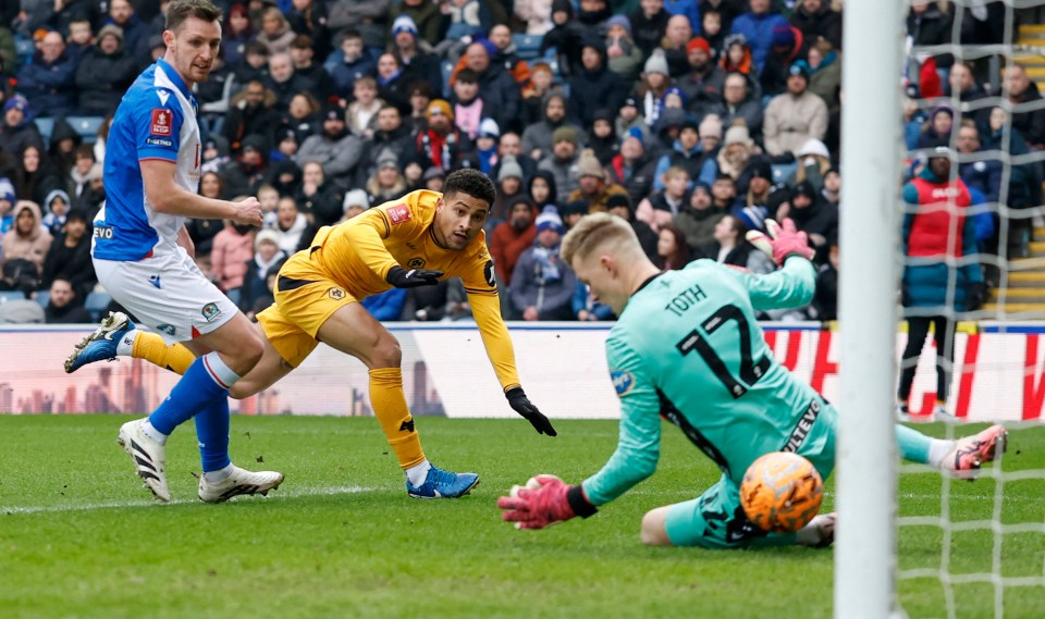 Joao Gomes scoring a goal for Wolverhampton Wanderers.