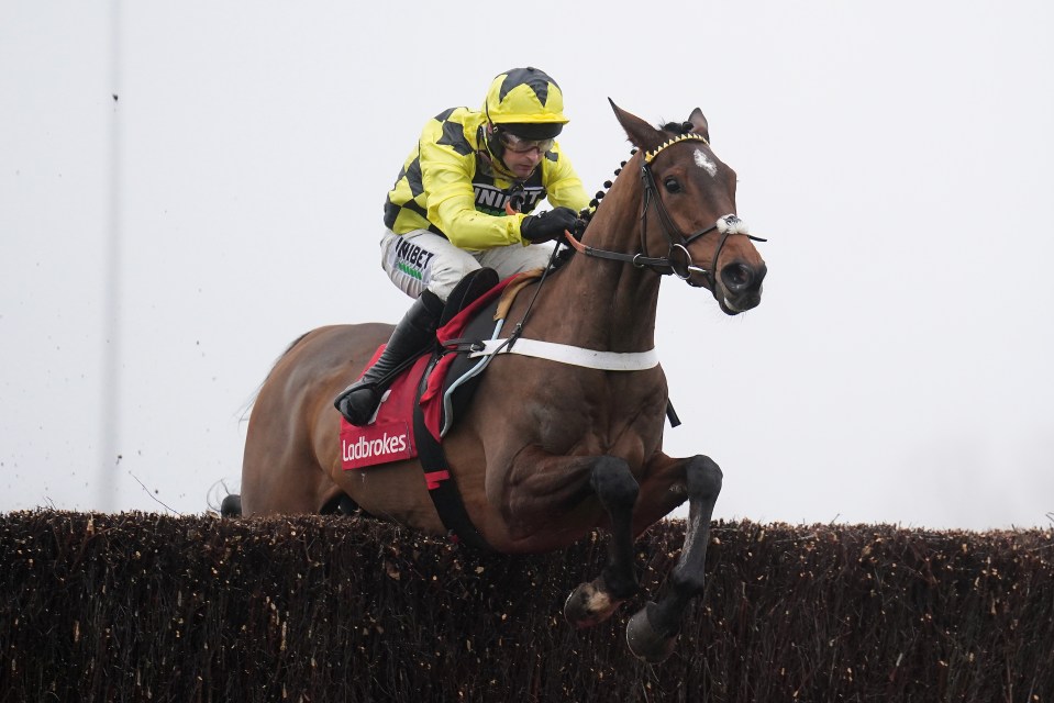 Sir Gino jumping a hurdle during a horse race.