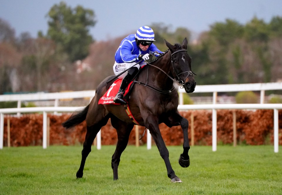 Jockey on a horse mid-race.