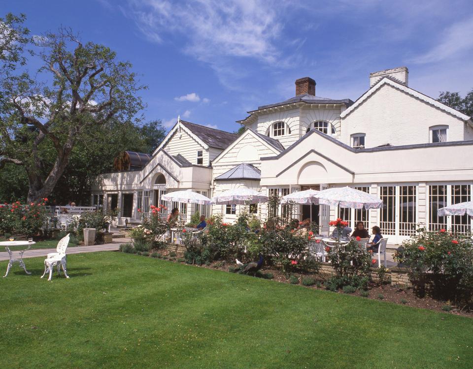 Monkey Island Estate Hotel with outdoor seating.