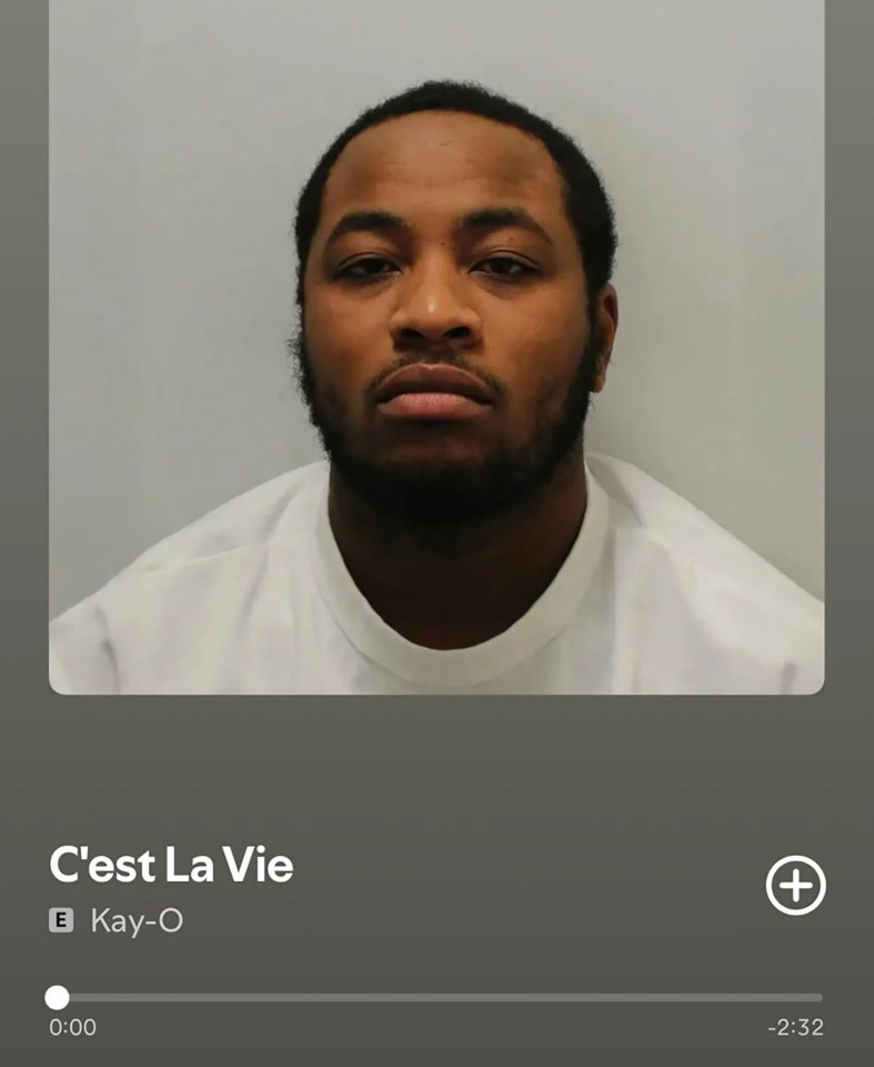 Screenshot of Kay-O's "C'est La Vie" playing on a music app.