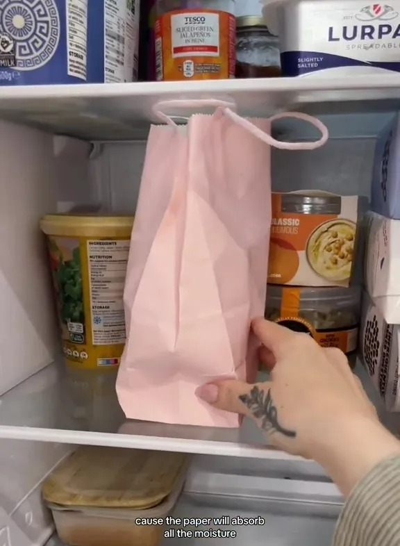 Person placing a paper bag in a refrigerator to absorb moisture.