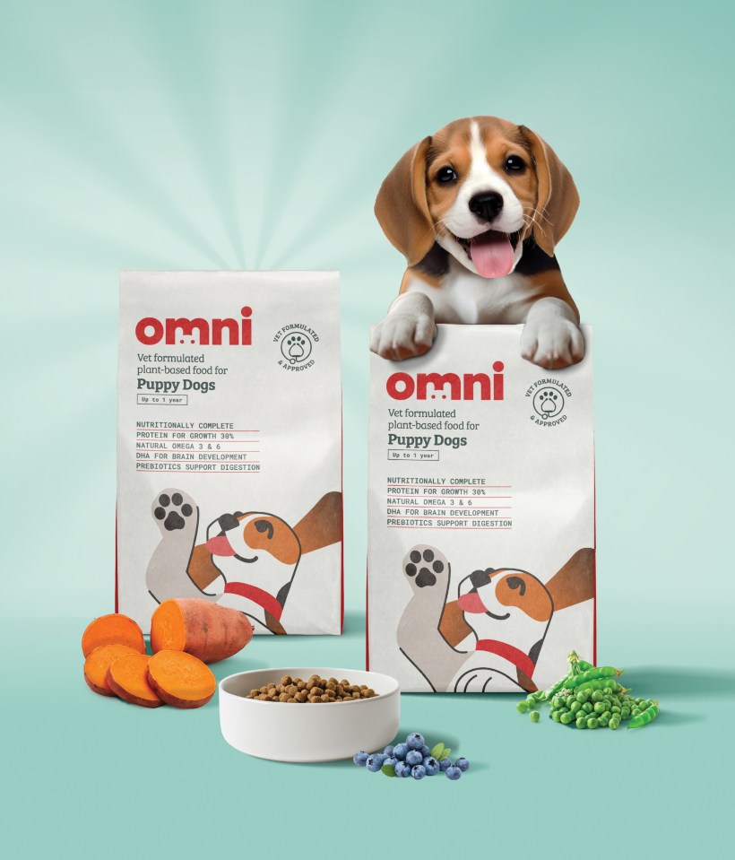 Illustration of beagle puppy with two bags of Omni plant-based puppy food, sweet potatoes, blueberries, and peas.