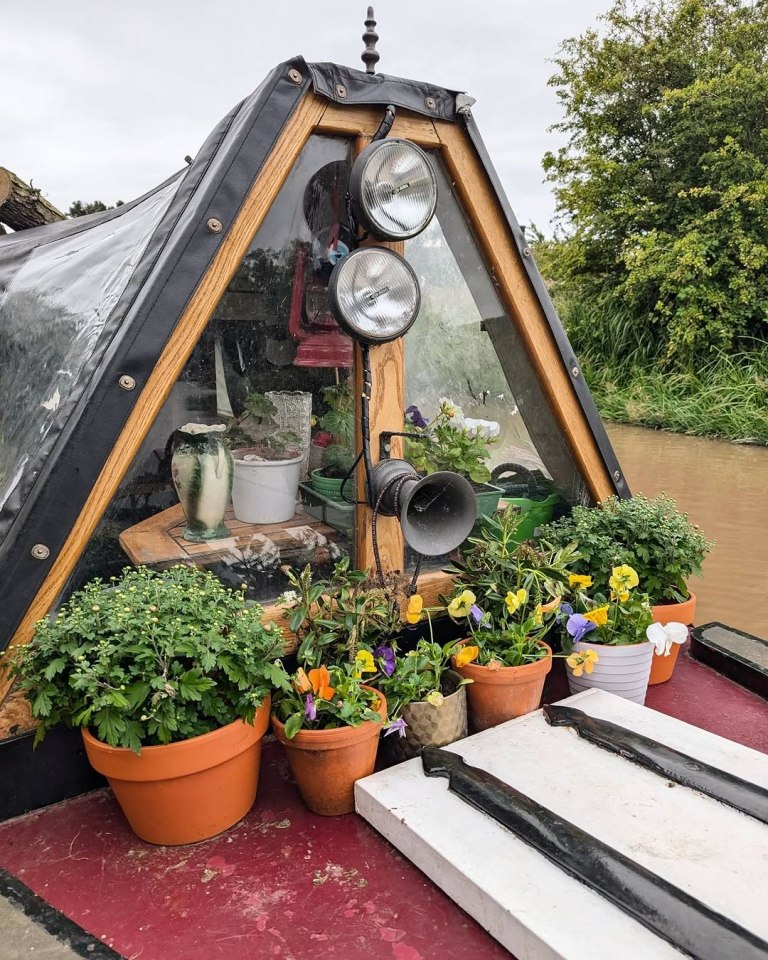 Potted plants on a narrowboat.