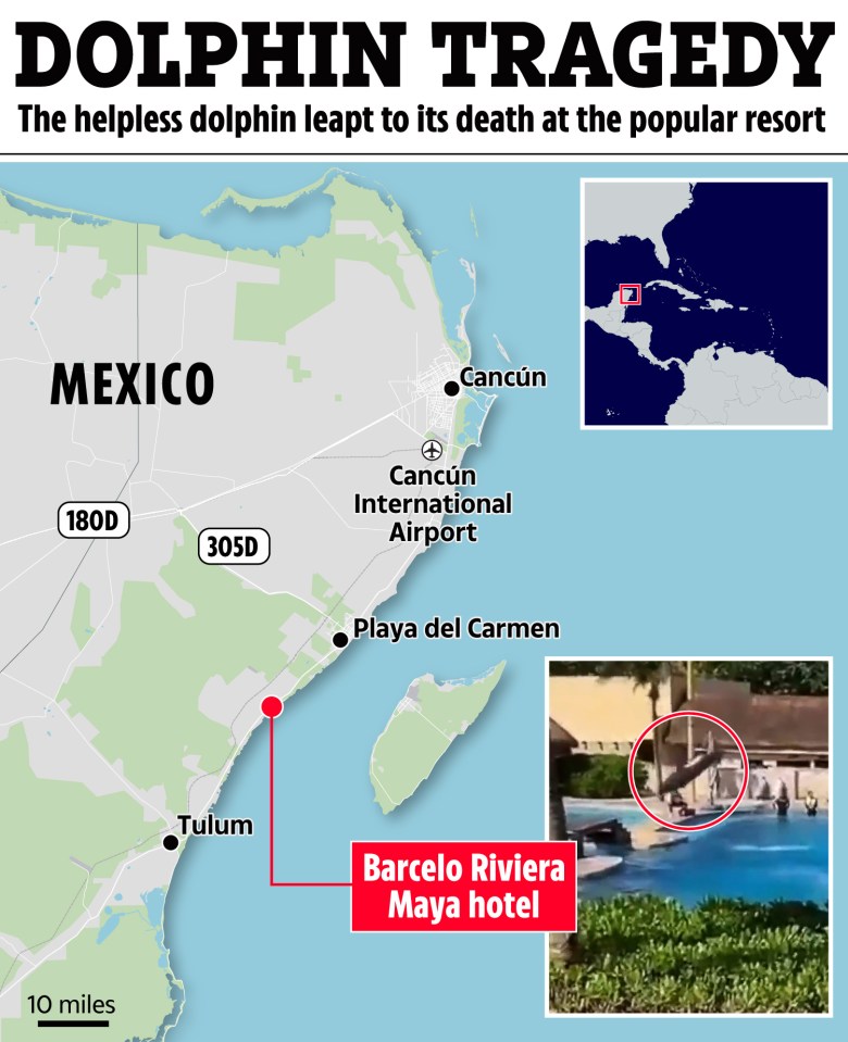 Map showing the location of a Barcelo Riviera Maya hotel in Mexico where a dolphin died.