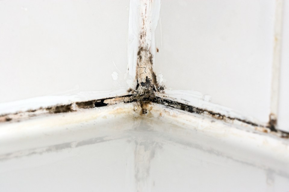 Mold and mildew in a shower corner.