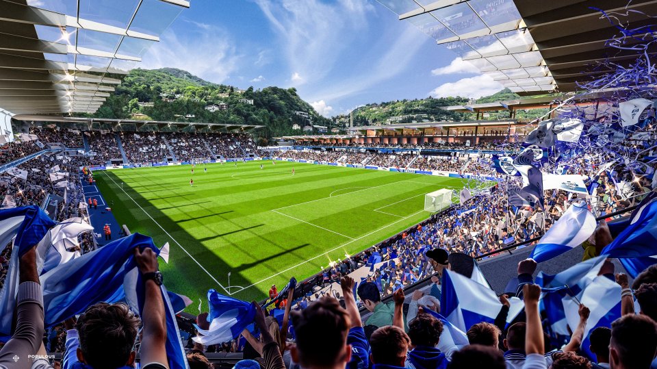 Illustration of a soccer stadium filled with cheering fans.