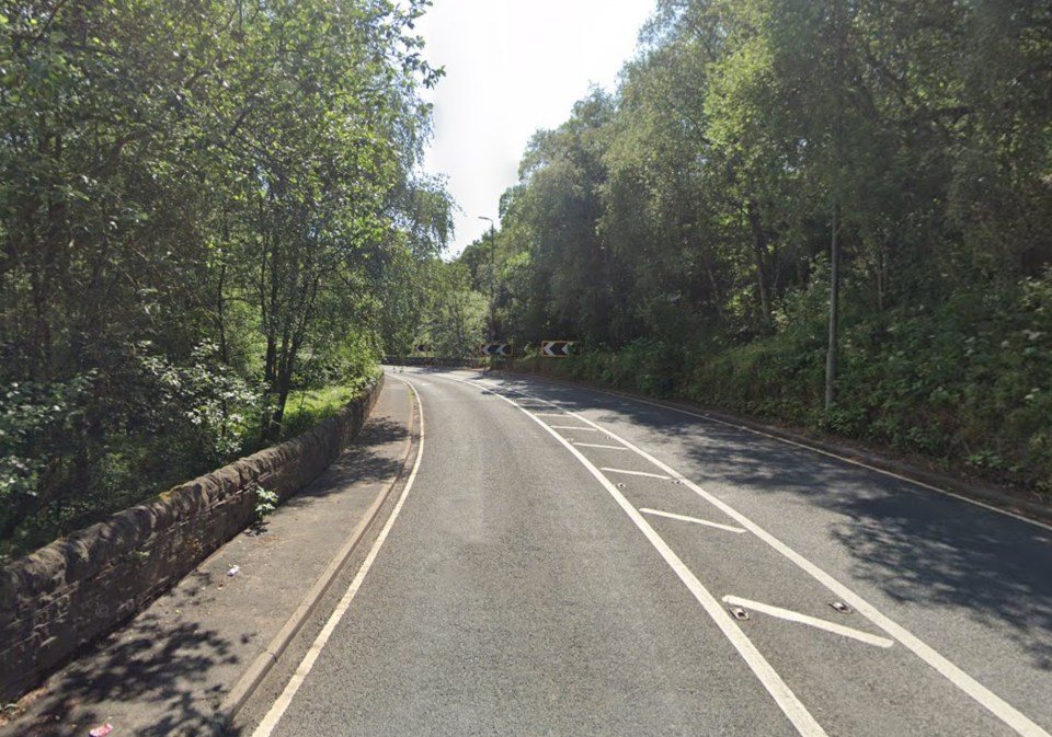 Road curving through a wooded area.