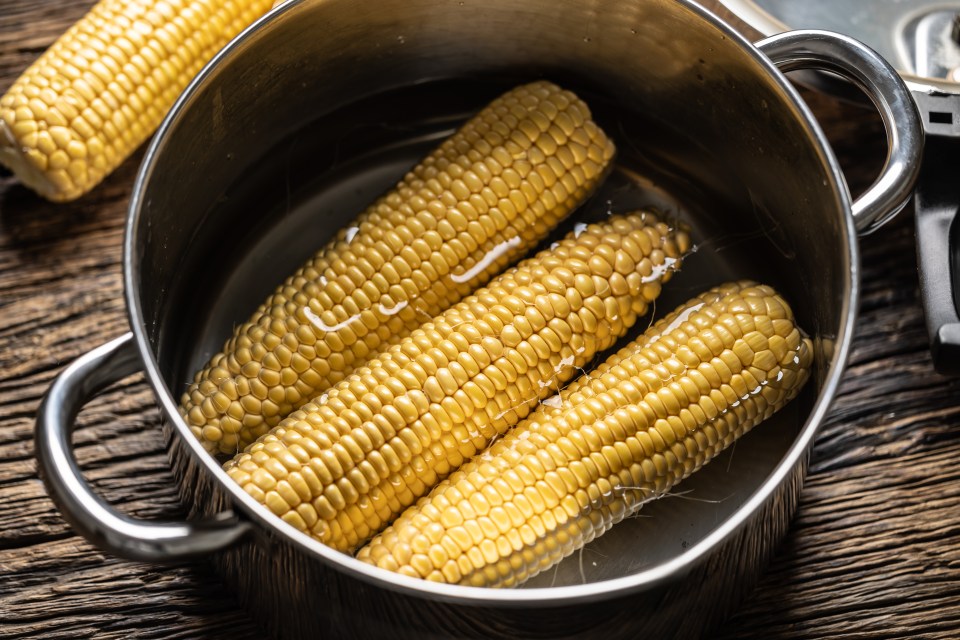 Corn on the cob in a pot of water.