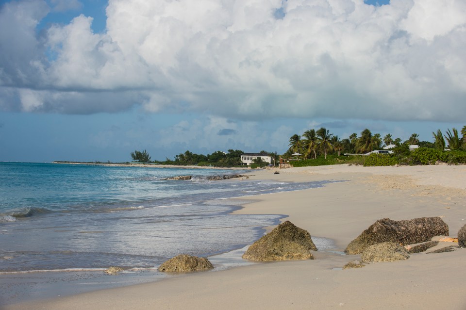 Tropical beach scene with palm trees and a building in the distance.