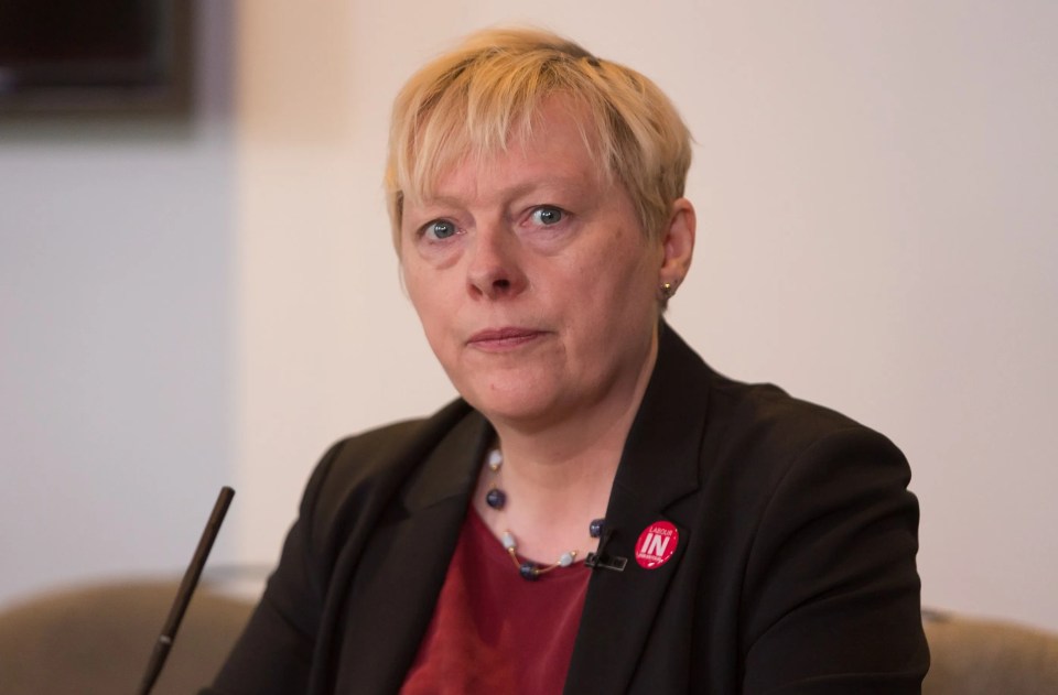 Angela Eagle at a Labour Party Vote Remain event in London.