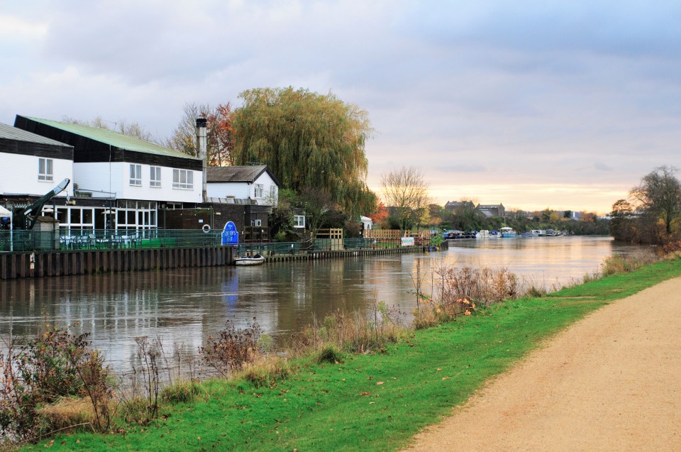 River Thames with Raven's Ait island in Kingston, Surrey.