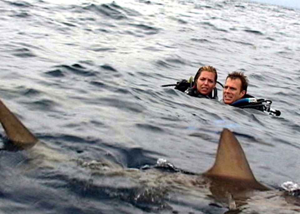 Two scuba divers in the ocean.