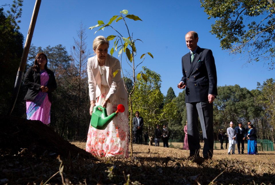 Prince Edward and Sophie, Duchess of Edinburgh planting a tree.