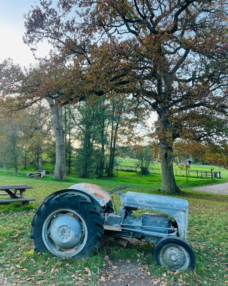 Old tractor at Bucklebury Farm.