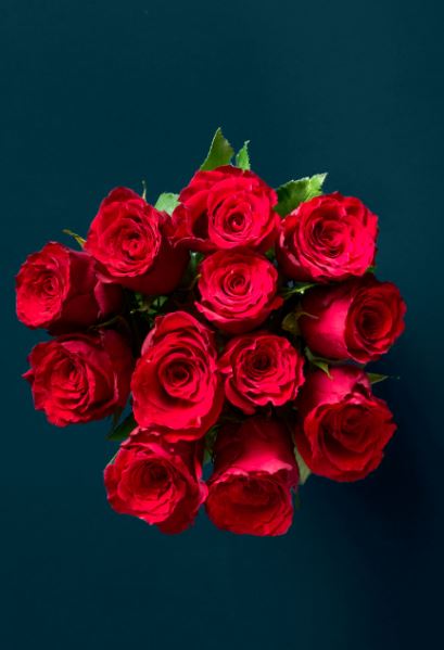 Bouquet of red roses.