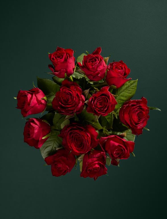 Bouquet of red roses.