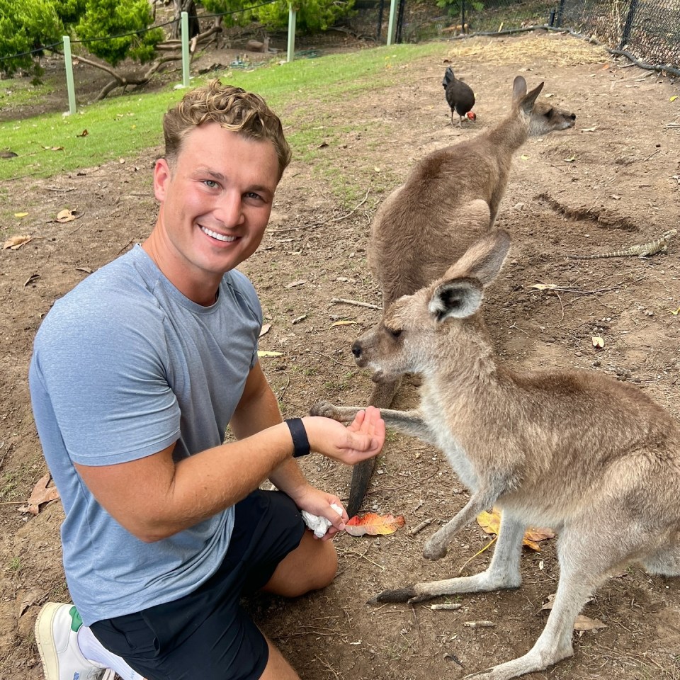 Man feeding kangaroos.