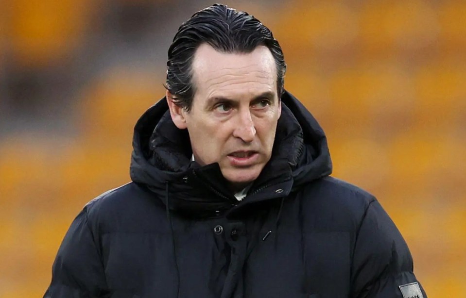 Unai Emery, Aston Villa's head coach, at a Premier League match.