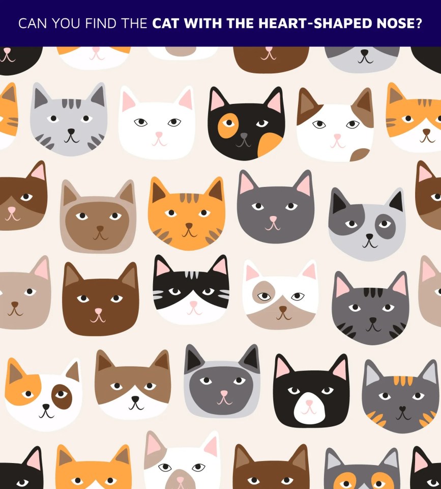 Illustration of many cats; find the cat with a heart-shaped nose.