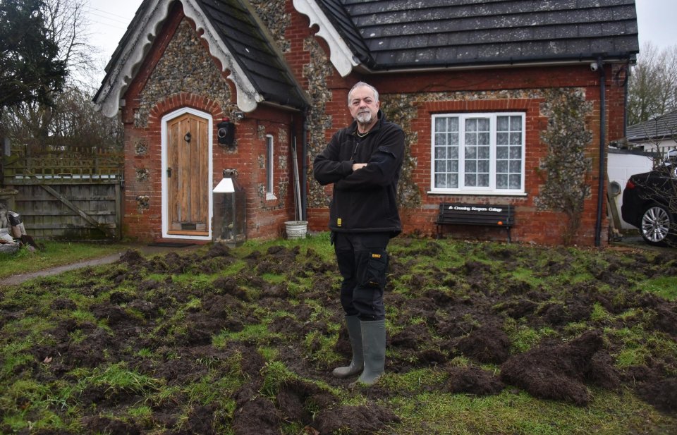 Man standing in front of his house with a lawn dug up by pigs.