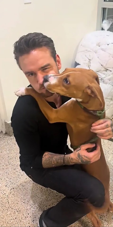 Liam Payne and Kate Cassidy with their new dog.