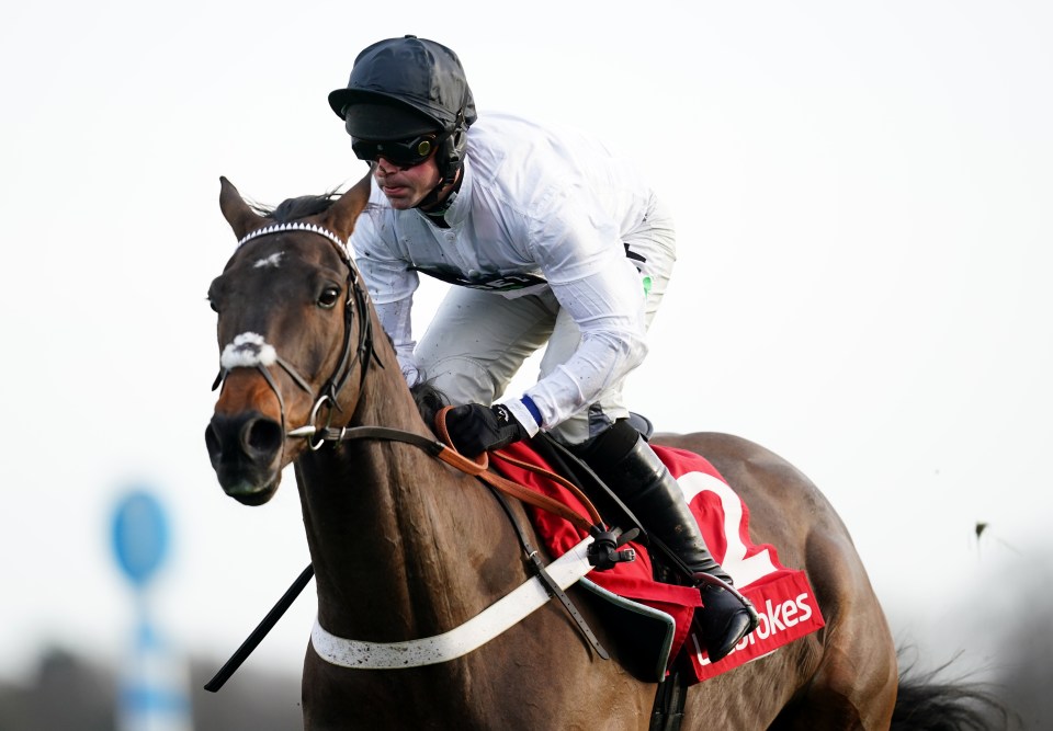 Jockey riding a horse in a race.