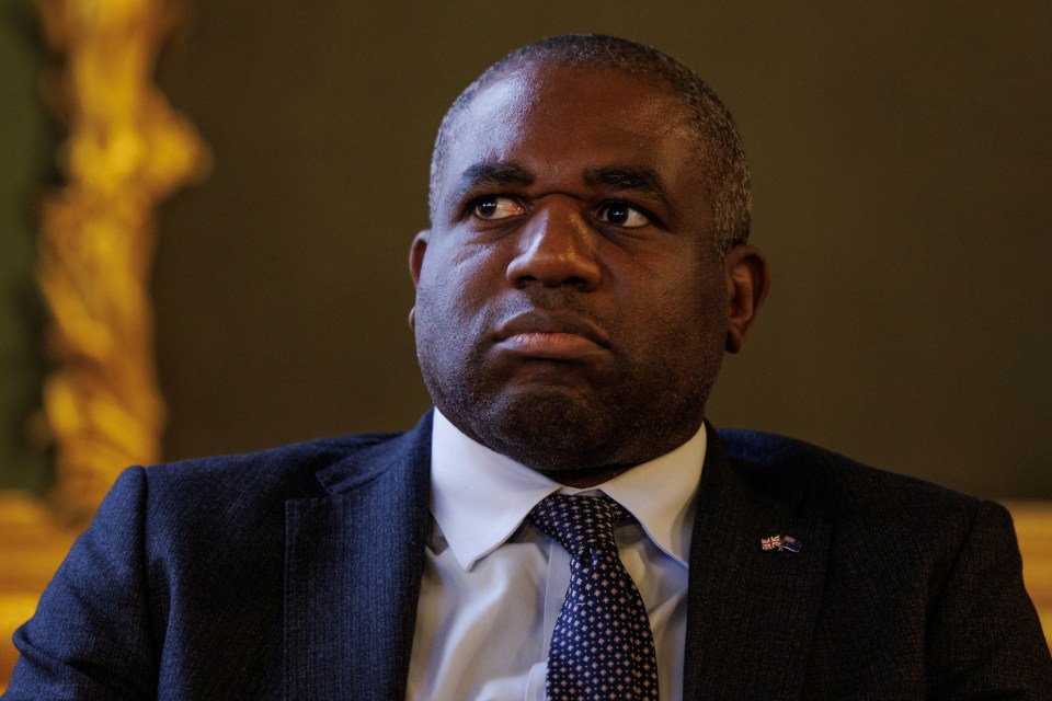 David Lammy at a press conference.