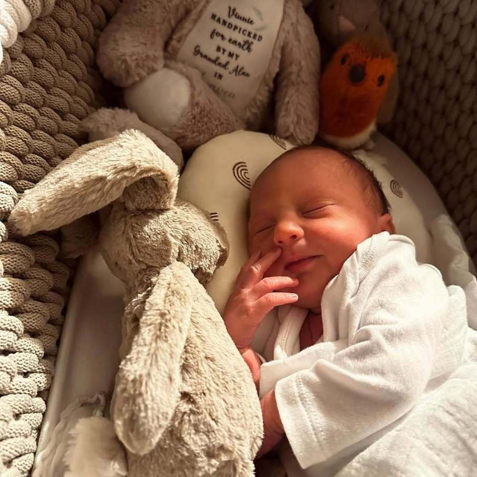 Newborn baby sleeping with stuffed animals.