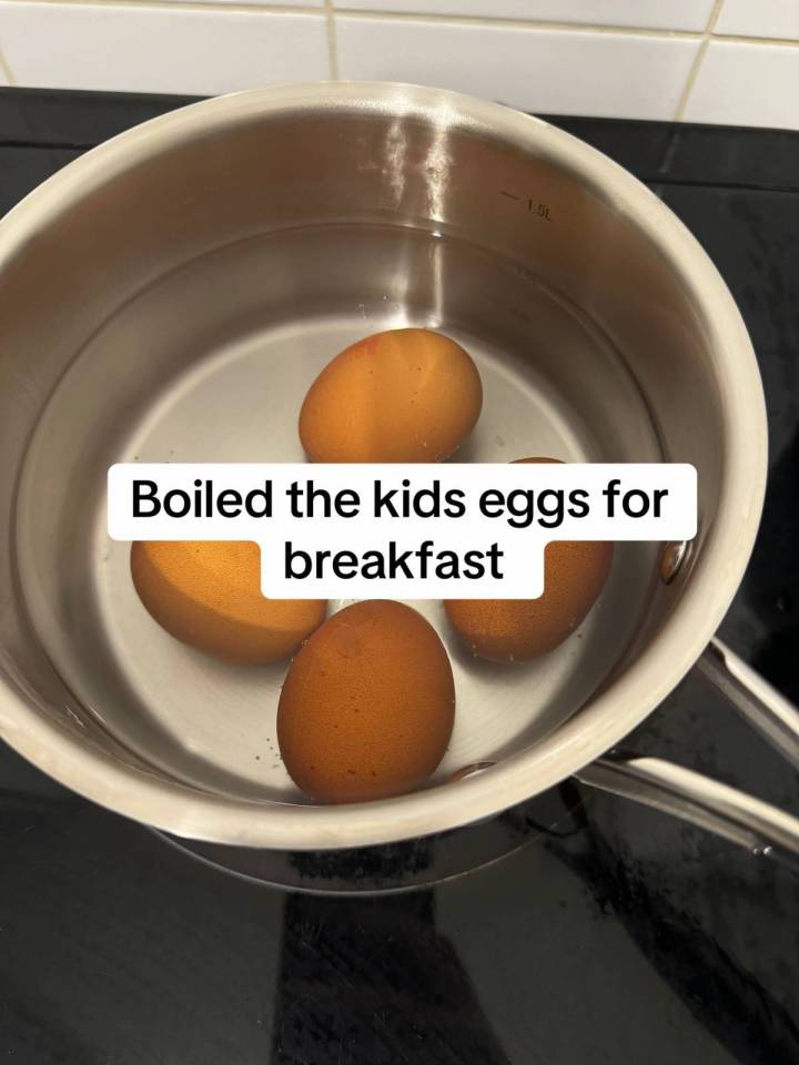 Boiled eggs in a saucepan for kids' breakfast.