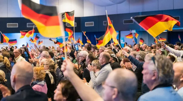 Large group of people waving German flags.