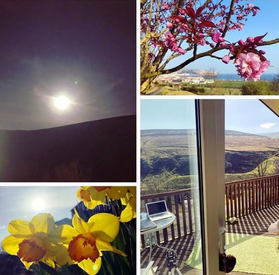 Collage of scenic views from a holiday chalet, including blooming flowers and a laptop on a deck overlooking a valley.