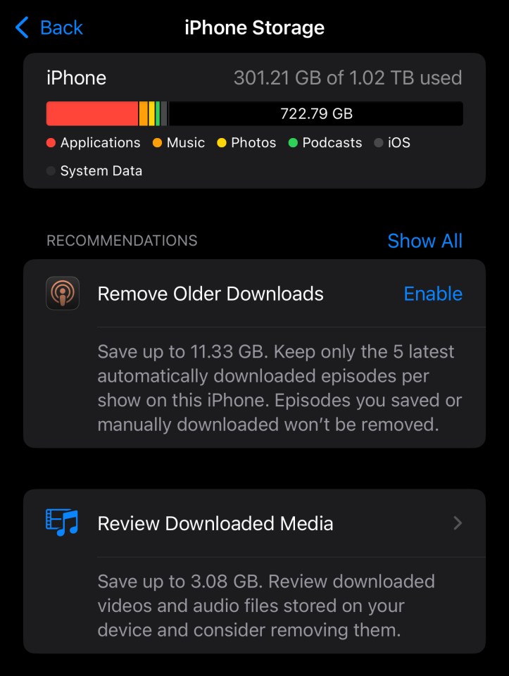 iPhone storage usage and recommendations to free up space.