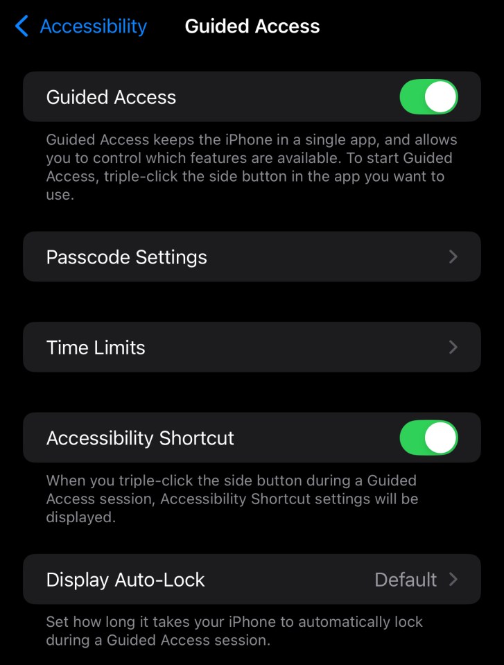 iPhone Guided Access settings.