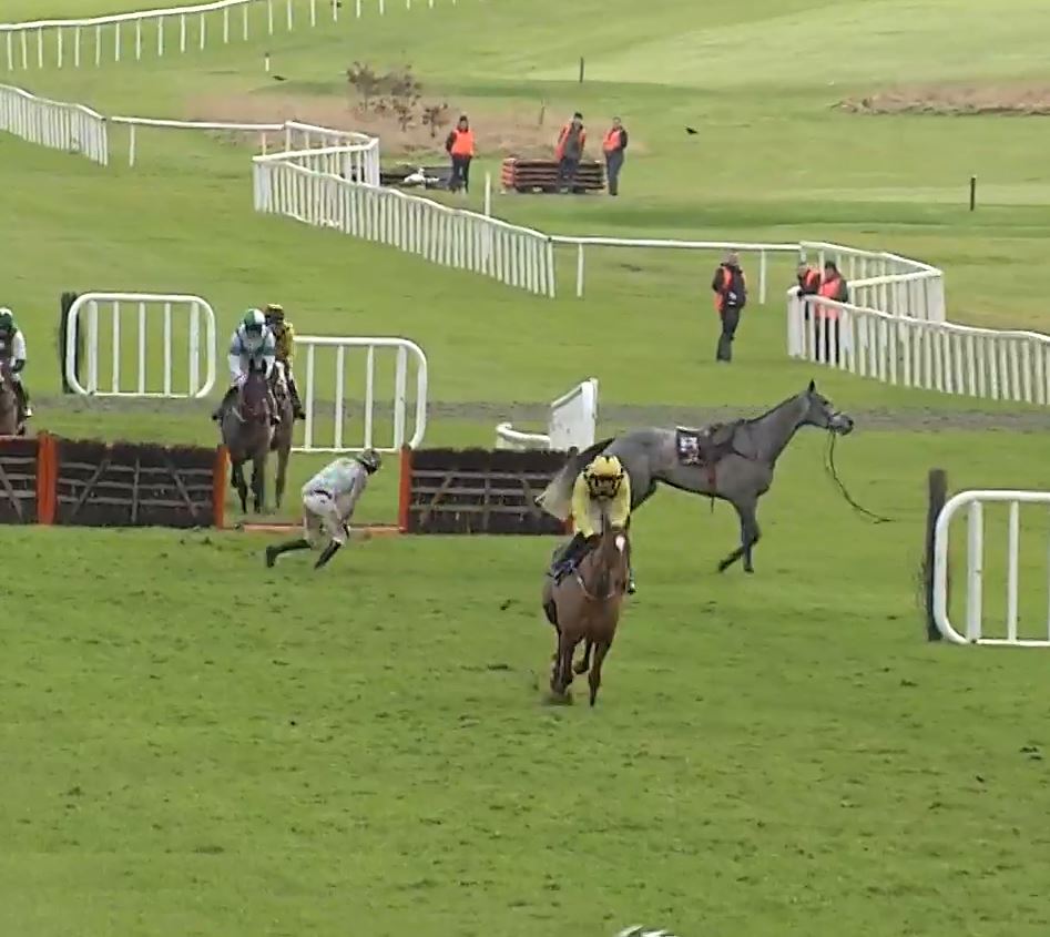 Horse race with a fallen jockey.